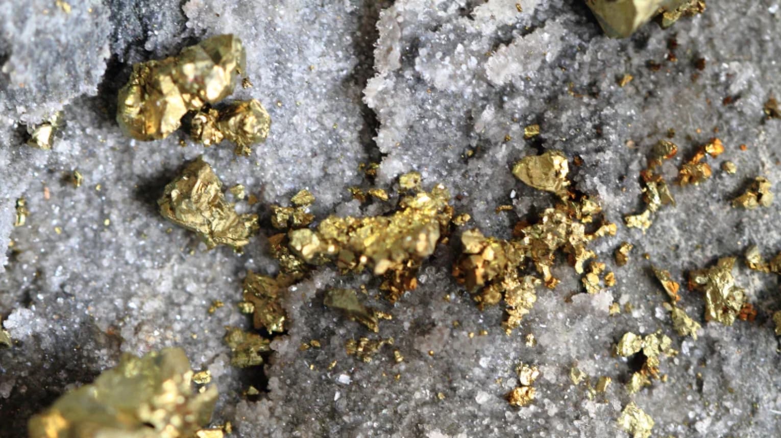 Product Specification